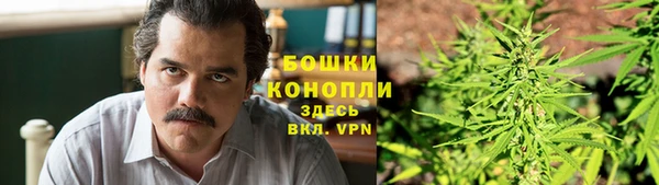 экстази Горняк