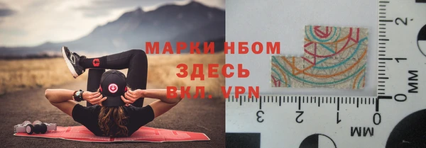 стаф Магас