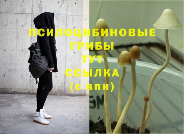 кокаин колумбия Горно-Алтайск
