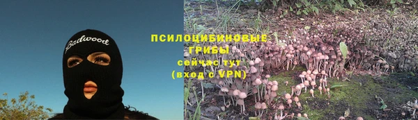 экстази Горняк