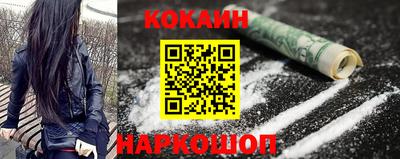 стаф Донской