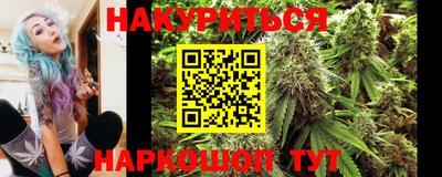 стаф Донской