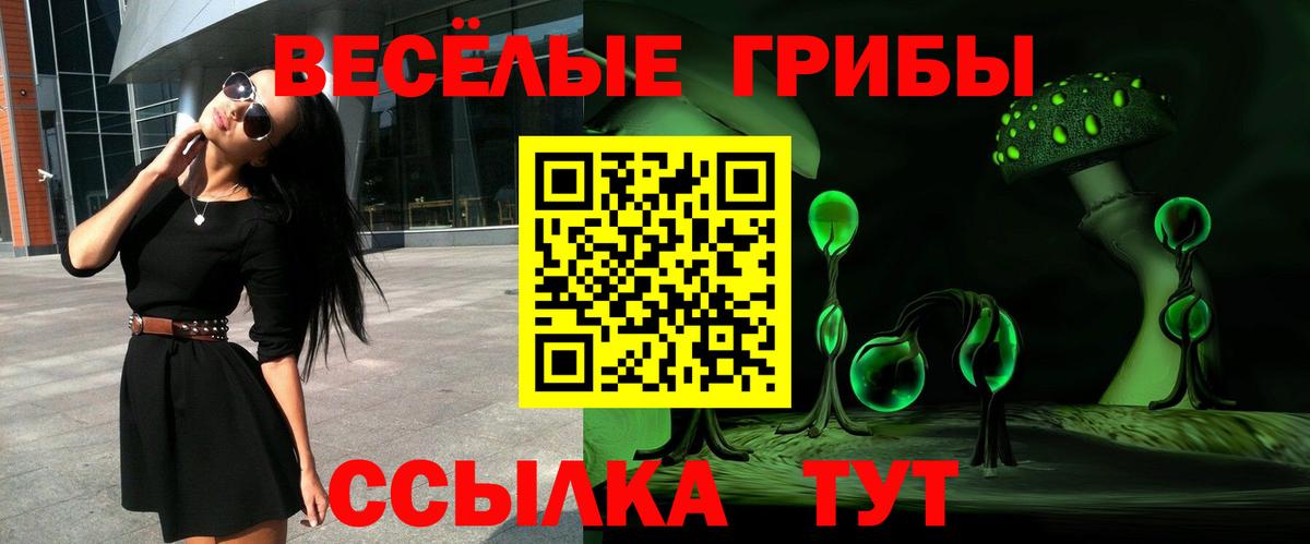 Галлюциногенные грибы мицелий  Вход с VPN  Медногорск  Псилоцибиновые грибы мицелий 